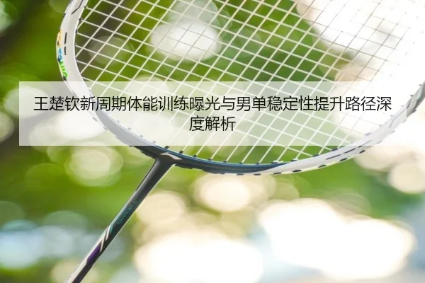 王楚钦新周期体能训练曝光与男单稳定性提升路径深度解析