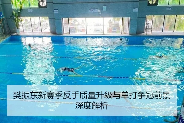 樊振东新赛季反手质量升级与单打争冠前景深度解析